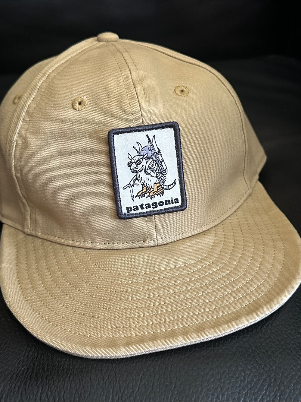 Patagonia Scrap Everyday Cap